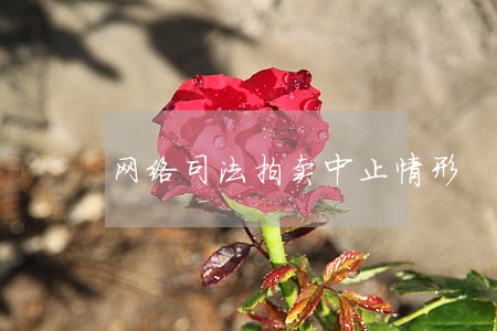 网络司法拍卖中止情形 网络司法拍卖中止情形