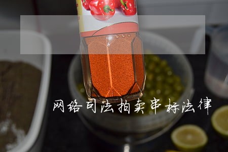 网络司法拍卖串标法律