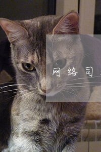 网络司法拍卖存在的问题及对策 网络司法拍卖存在的问题及对策