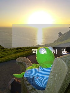 网络司法拍卖相关法律问题探讨 网络司法拍卖相关法律问题探讨