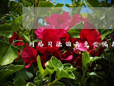 网络司法拍卖竞价幅度 网络司法拍卖竞价幅度