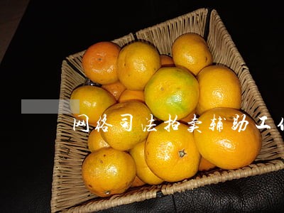 网络司法拍卖辅助工作流程