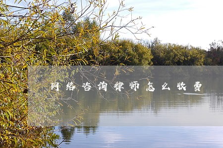 网络咨询律师怎么收费 网络咨询律师怎么收费