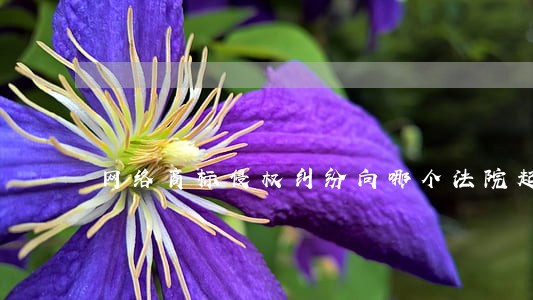 网络商标侵权纠纷向哪个法院起诉 网络商标侵权纠纷向哪个法院起诉