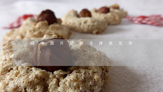 网络图片侵权法律意见书 网络图片侵权法律意见书