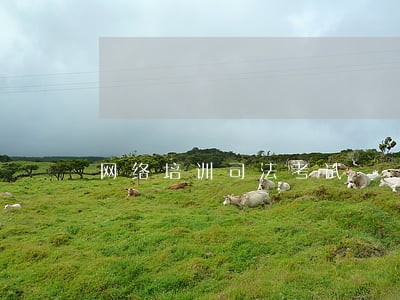 网络培训司法考试 网络培训司法考试