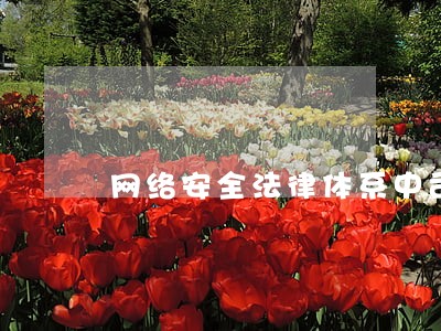 网络安全法律体系中司法解释 网络安全法律体系中司法解释