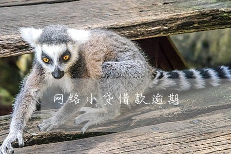 网络小贷借款逾期