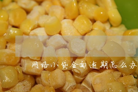 网络小贷全面逾期怎么办 网络小贷全面逾期怎么办