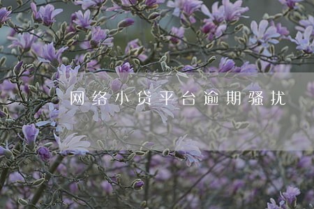 网络小贷平台逾期骚扰 网络小贷平台逾期骚扰