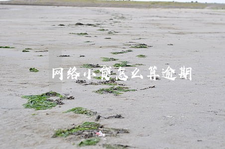 网络小贷怎么算逾期 网络小贷怎么算逾期