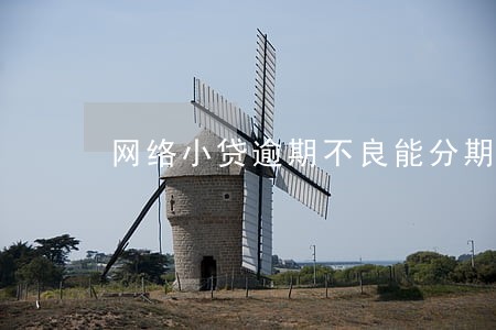 网络小贷逾期不良能分期买车吗 网络小贷逾期不良能分期买车吗