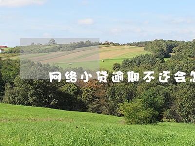 网络小贷逾期不还会怎么样 网络小贷逾期不还会怎么样
