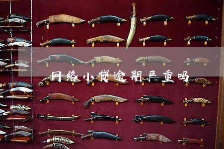 网络小贷逾期严重吗 网络小贷逾期严重吗