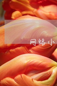 网络小贷逾期会怎么样 网络小贷逾期会怎么样
