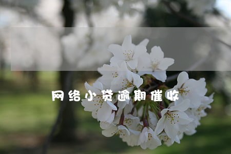 网络小贷逾期催收