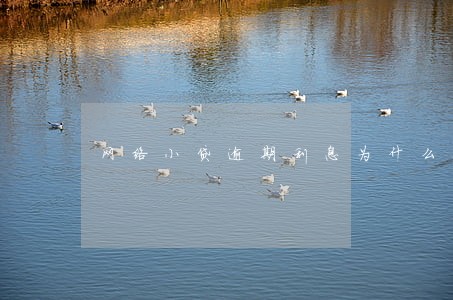 网络小贷逾期利息为什么这么高 网络小贷逾期利息为什么这么高