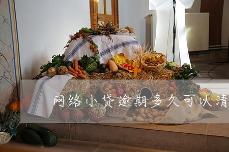 网络小贷逾期多久可以清除 网络小贷逾期多久可以清除