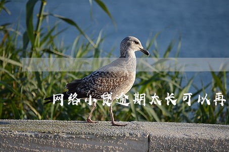网络小贷逾期太长可以再分期吗 网络小贷逾期太长可以再分期吗