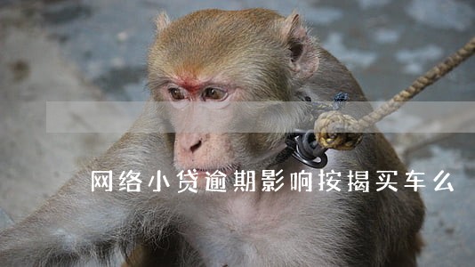 网络小贷逾期影响按揭买车么 网络小贷逾期影响按揭买车么