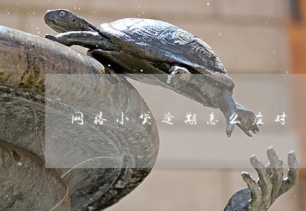 网络小贷逾期怎么应对 网络小贷逾期怎么应对