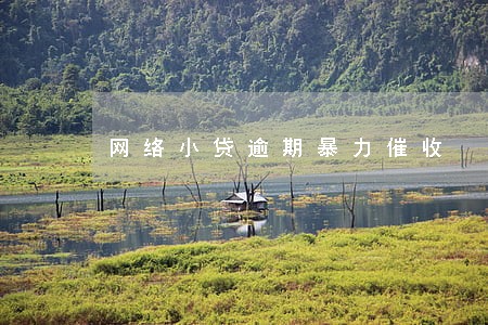 网络小贷逾期暴力催收 网络小贷逾期暴力催收