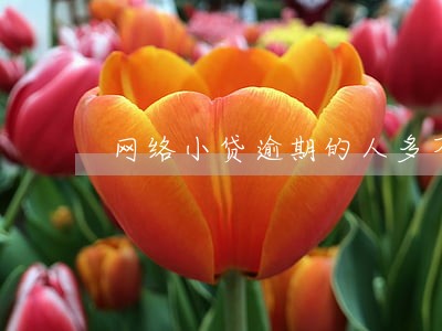 网络小贷逾期的人多不 网络小贷逾期的人多不