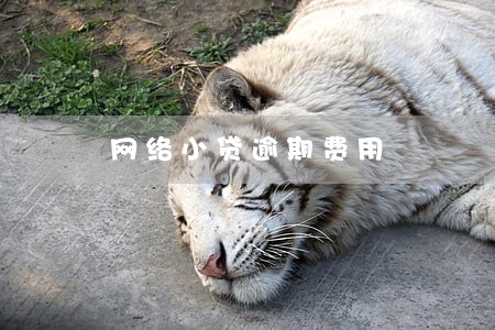 网络小贷逾期费用 网络小贷逾期费用