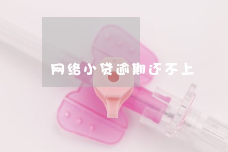 网络小贷逾期还不上 网络小贷逾期还不上