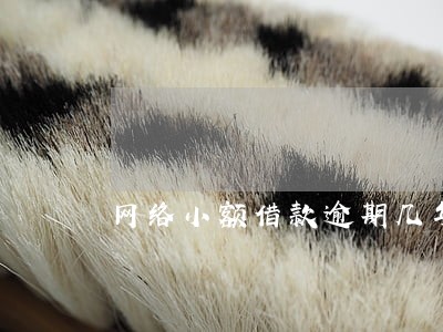 网络小额借款逾期几年了 网络小额借款逾期几年了