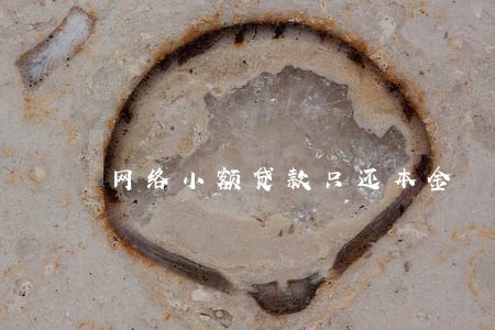 网络小额贷款只还本金 网络小额贷款只还本金