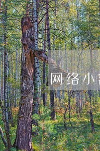 网络小额贷款逾期利息 网络小额贷款逾期利息