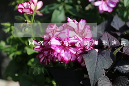 网络小额贷款逾期影响房贷 网络小额贷款逾期影响房贷