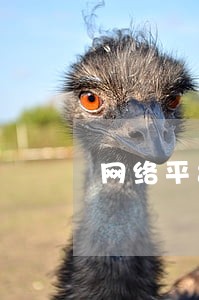 网络平台借款逾期会坐牢吗 网络平台借款逾期会坐牢吗