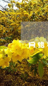 网络平台借款逾期利息 网络平台借款逾期利息