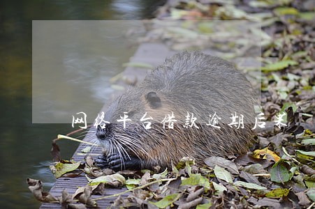 网络平台借款逾期后果 网络平台借款逾期后果