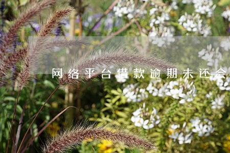 网络平台借款逾期未还会怎么样 网络平台借款逾期未还会怎么样