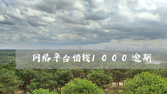 网络平台借钱1000逾期 网络平台借钱1000逾期