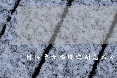 网络平台借钱逾期怎么办