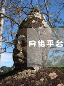 网络平台小贷逾期 网络平台小贷逾期