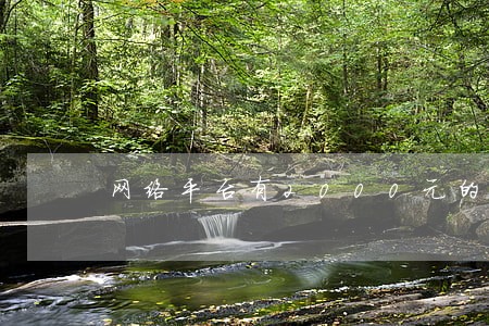 网络平台有2000元的逾期 网络平台有2000元的逾期
