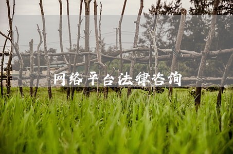网络平台法律咨询 网络平台法律咨询