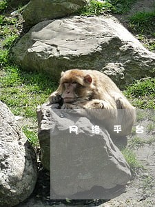 网络平台贷款逾期发短信息威胁 网络平台贷款逾期发短信息威胁