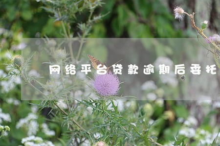 网络平台贷款逾期后委托第三方 网络平台贷款逾期后委托第三方