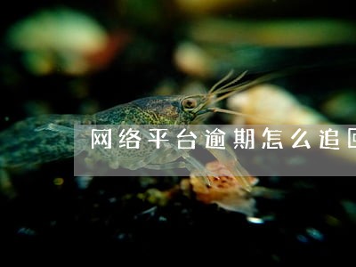 网络平台逾期怎么追回 网络平台逾期怎么追回