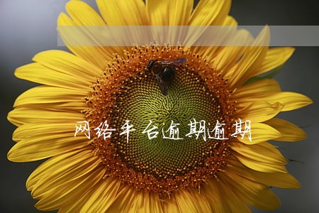 网络平台逾期逾期 网络平台逾期逾期