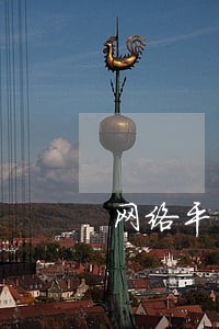 网络平台逾期高的离谱 网络平台逾期高的离谱