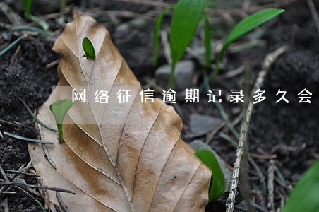 网络征信逾期记录多久会消失 网络征信逾期记录多久会消失