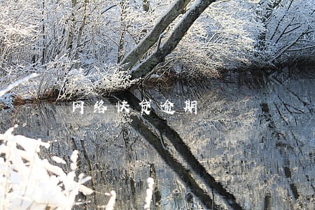 网络快贷逾期 网络快贷逾期