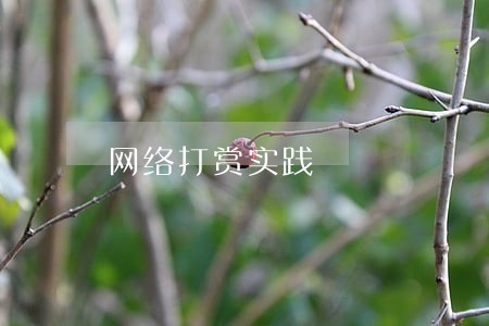 网络打赏实践